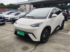 BYD Seagull Freedom Edition - ფოტო 1