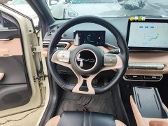 BYD Seagull Freedom Edition - ფოტო 10