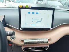 BYD Seagull Freedom Edition - ფოტო 12