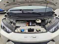 BYD Seagull Freedom Edition - ფოტო 19