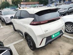 BYD Seagull Freedom Edition - ფოტო 4