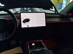 Tesla Model Y Rear-Wheel Drive - ფოტო 12