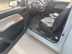 Wuling Hongguang MINIEV 2020 Deluxe Edition LFP Battery - ფოტო 15