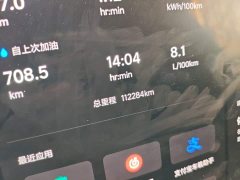 Li Auto L9 Max - ფოტო 11