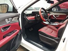 Jetour Jietu X70 PLUS 2021 1.6T DCT Star 7-Seater - ფოტო 15