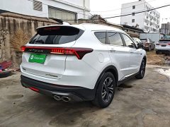 Jetour Jietu X70 PLUS 2021 1.6T DCT Star 7-Seater - ფოტო 6