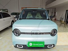 Geely Panda Mini 210km Vitality Edition - photo 2