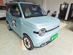 Geely Panda Mini 210km Vitality Edition - photo 3