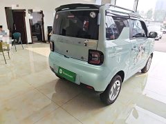 Geely Panda Mini 210km Vitality Edition - photo 6