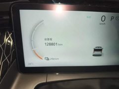 Zeekr Geely Geometry EX9 ME Edition - ფოტო 4