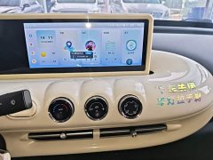 Wuling Binguo 333km Quick Enjoy Edition - ფოტო 12