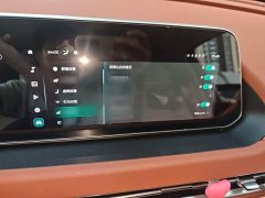 ORA Good Cat 400km Standard Range Athena Edition LFP Battery - ფოტო 18