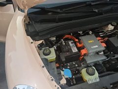 ORA Good Cat 400km Standard Range Athena Edition LFP Battery - ფოტო 19