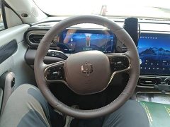 Leapmotor C11 Luxury - ფოტო 10