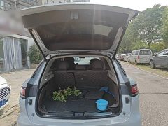 Leapmotor C11 Luxury - ფოტო 18