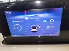 Wuling Binguo 203km Comfort Edition - ფოტო 11