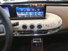 Wuling Binguo 203km Comfort Edition - ფოტო 12