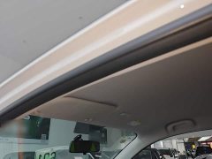 SAIC Corey Wei CLEVER 302km Excellence Edition - ფოტო 17