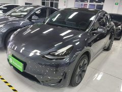 Tesla Model Y Long Range All-Wheel Drive - ფოტო 1