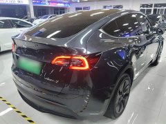 Tesla Model Y Long Range All-Wheel Drive - ფოტო 6
