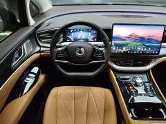 Denza BYD Denza D9 DM-i 1050 Premium - ფოტო 10