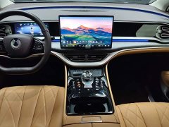 Denza BYD Denza D9 DM-i 1050 Premium - ფოტო 12