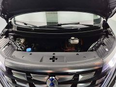 Denza BYD Denza D9 DM-i 1050 Premium - ფოტო 19