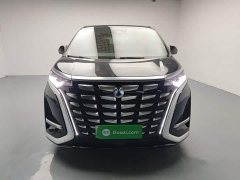 Denza BYD Denza D9 DM-i 1050 Premium - ფოტო 2
