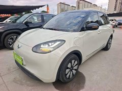 Wuling Binguo 333km Joy Edition - ფოტო 1