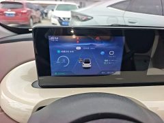 Wuling Binguo 333km Joy Edition - ფოტო 11