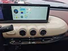 Wuling Binguo 333km Joy Edition - ფოტო 12