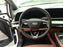 Cadillac IQ Aoge Standard Range - ფოტო 10