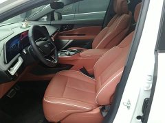 Cadillac IQ Aoge Standard Range - ფოტო 14