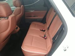 Cadillac IQ Aoge Standard Range - ფოტო 16