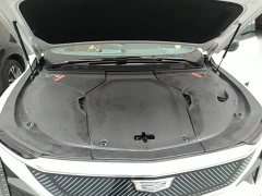 Cadillac IQ Aoge Standard Range - ფოტო 19