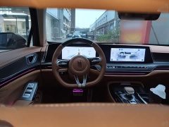FAW Red Flag H9 2.0T Flagship Comfort Private Luxury Edition - ფოტო 10