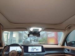 FAW Red Flag H9 2.0T Flagship Comfort Private Luxury Edition - ფოტო 17