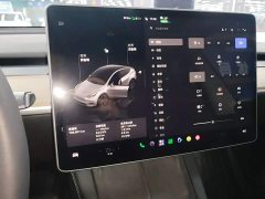 Tesla Model Y Rear-Wheel Drive - ფოტო 11