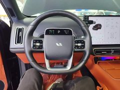 Li Auto L6 Pro - ფოტო 10