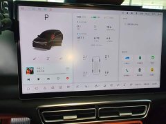 Li Auto L6 Pro - ფოტო 11