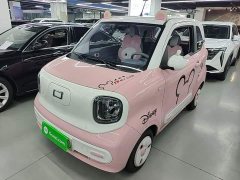 FAW Besturn Xiaoma 170km Vitality Edition - ფოტო 1