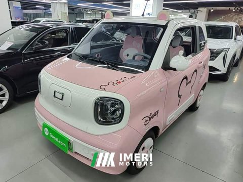2024 FAW Besturn Xiaoma 170km Vitality Edition - ავტომობილი ჩინეთიდან