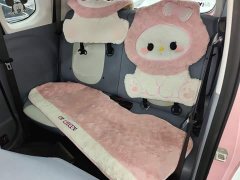 FAW Besturn Xiaoma 170km Vitality Edition - ფოტო 16