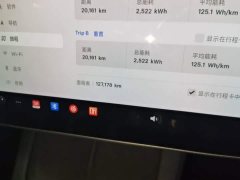 Tesla Model 3 Standard Range RWD Upgrade - ფოტო 11