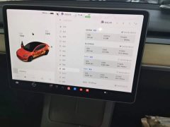 Tesla Model 3 Standard Range RWD Upgrade - ფოტო 12