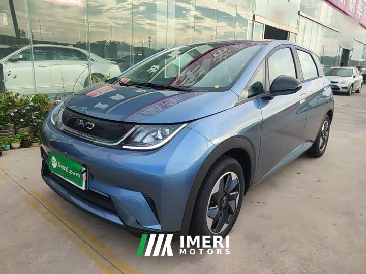 BYD Dolphin 2025 420km Freedom Edition - ავტომობილი ჩინეთიდან