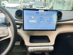 BYD Dolphin 2025 420km Freedom Edition - ფოტო 12