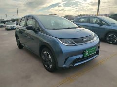 BYD Dolphin 2025 420km Freedom Edition - ფოტო 3