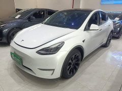 Tesla Model Y Long Range All-Wheel Drive - ფოტო 1