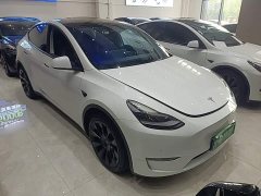 Tesla Model Y Long Range All-Wheel Drive - ფოტო 3